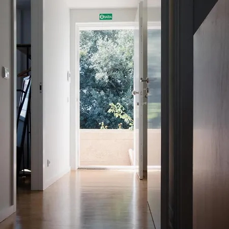 Villa Real House Vila Real